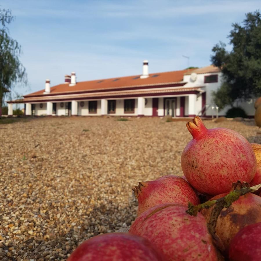 Monte Da Floresta B&B Ferreira Do Alentejo Esterno foto