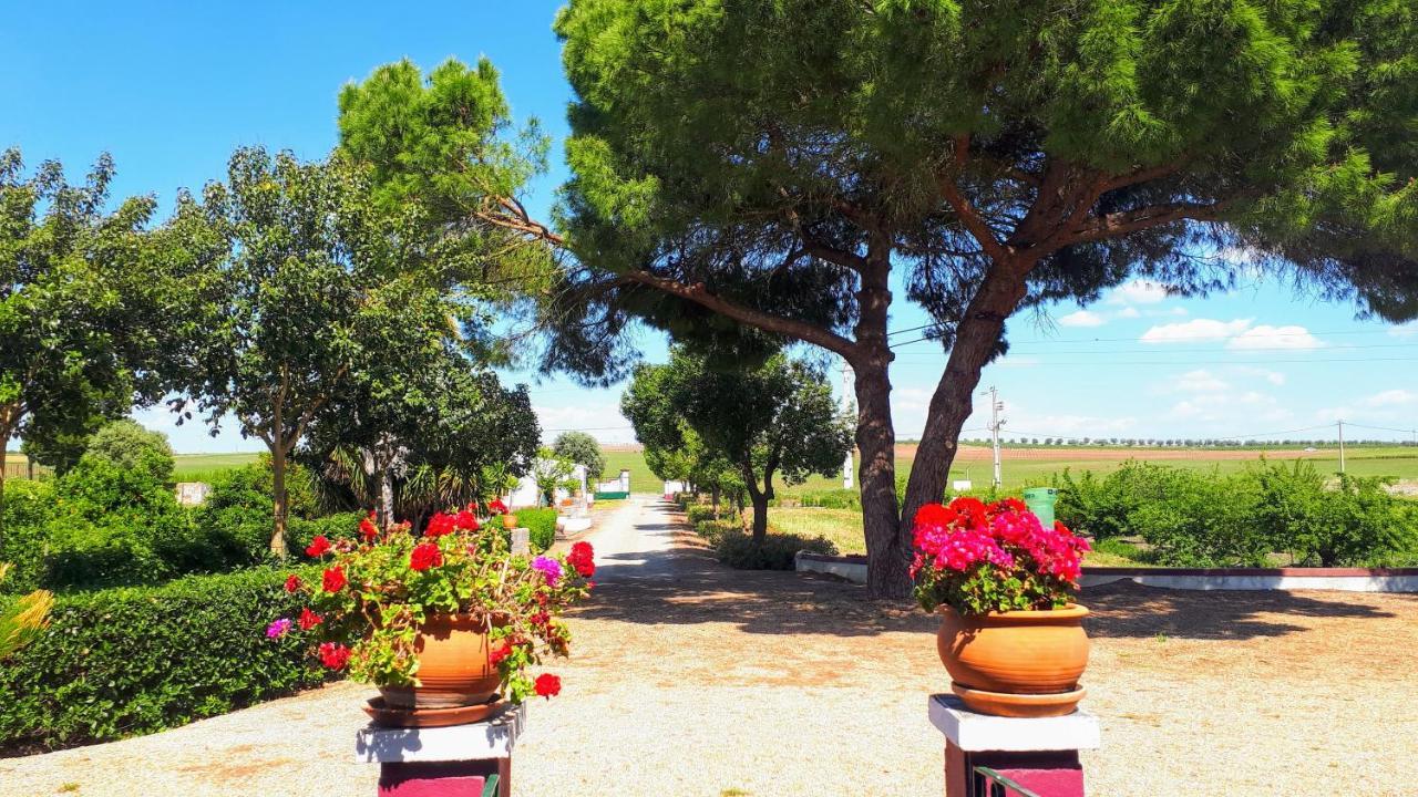Monte Da Floresta B&B Ferreira Do Alentejo Esterno foto